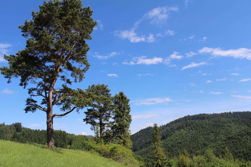 Pine Wood Apartment Vyšné Ružbachy Kültér fotó